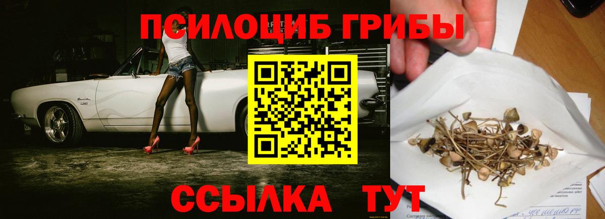 Псилоцибиновые грибы GOLDEN TEACHER Белгород